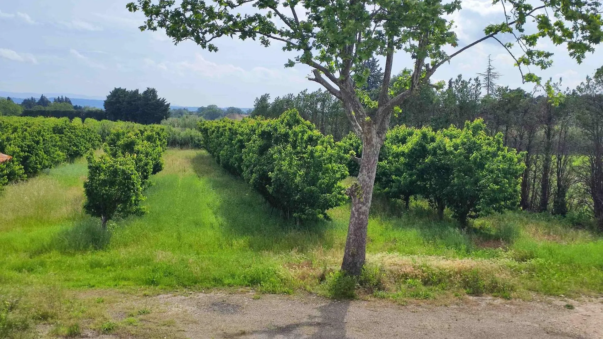 Kwatera prywatna Chambre 3 Personnes Avec Salle De Bain Dans Mas Du Luberon Robion en Luberon Francja